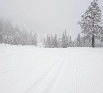 Preparete skiløyper i vintersnø på høyfjellet Høgevarde Norefjell i Hallingdal