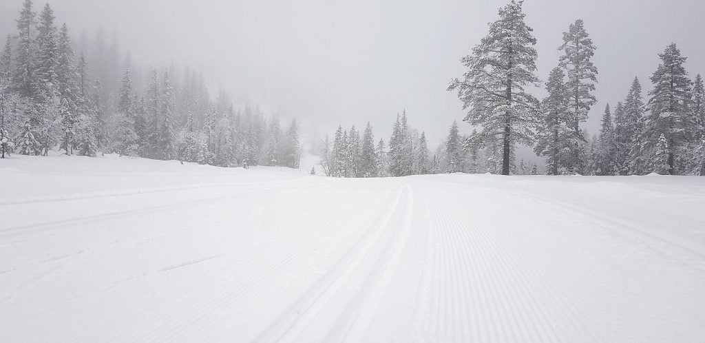 Preparete skiløyper i vintersnø på høyfjellet Høgevarde Norefjell i Hallingdal