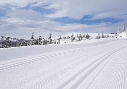 langrenn-langrennslyper-hgevarde-mars-spor-helg