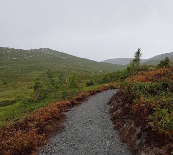 sti-flerbrukssti-sykkelsti-sauvall-regnvått-høst