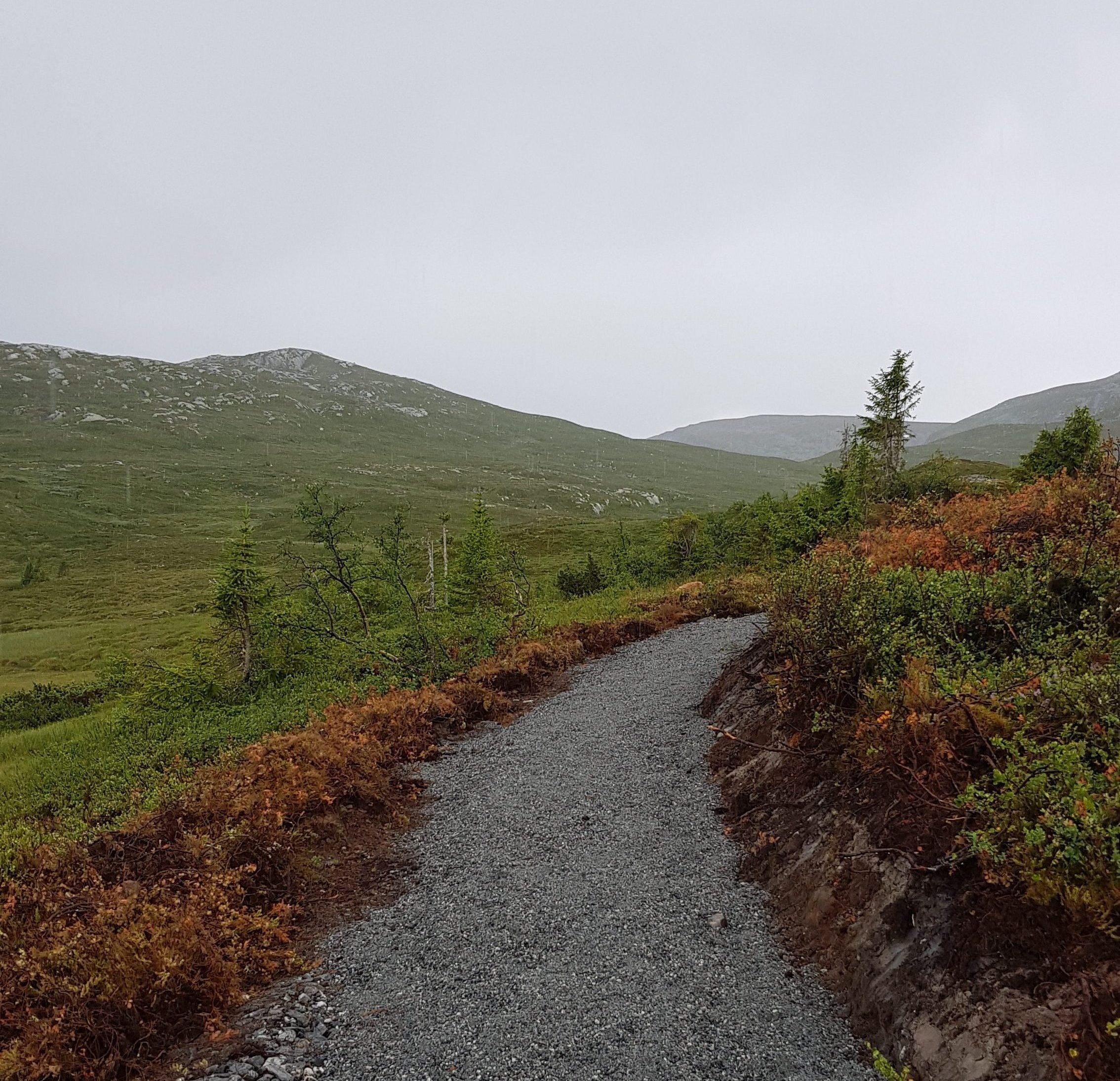 sti-flerbrukssti-sykkelsti-sauvall-regnvått-høst