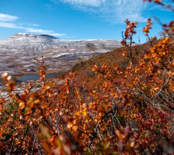 høgevarde-høst-høstfarger-fallcolours-høyfjell