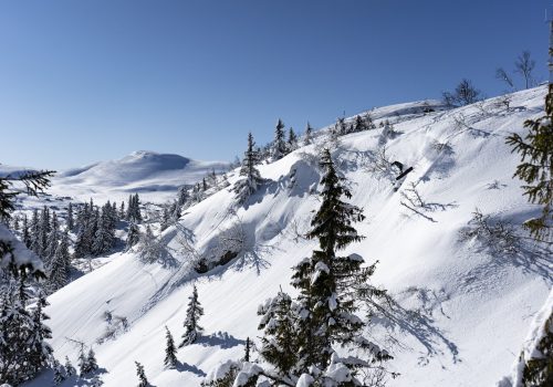 gustaf-snowboard-pudder-drop-sol-høgevardefjellpark-fjellpark